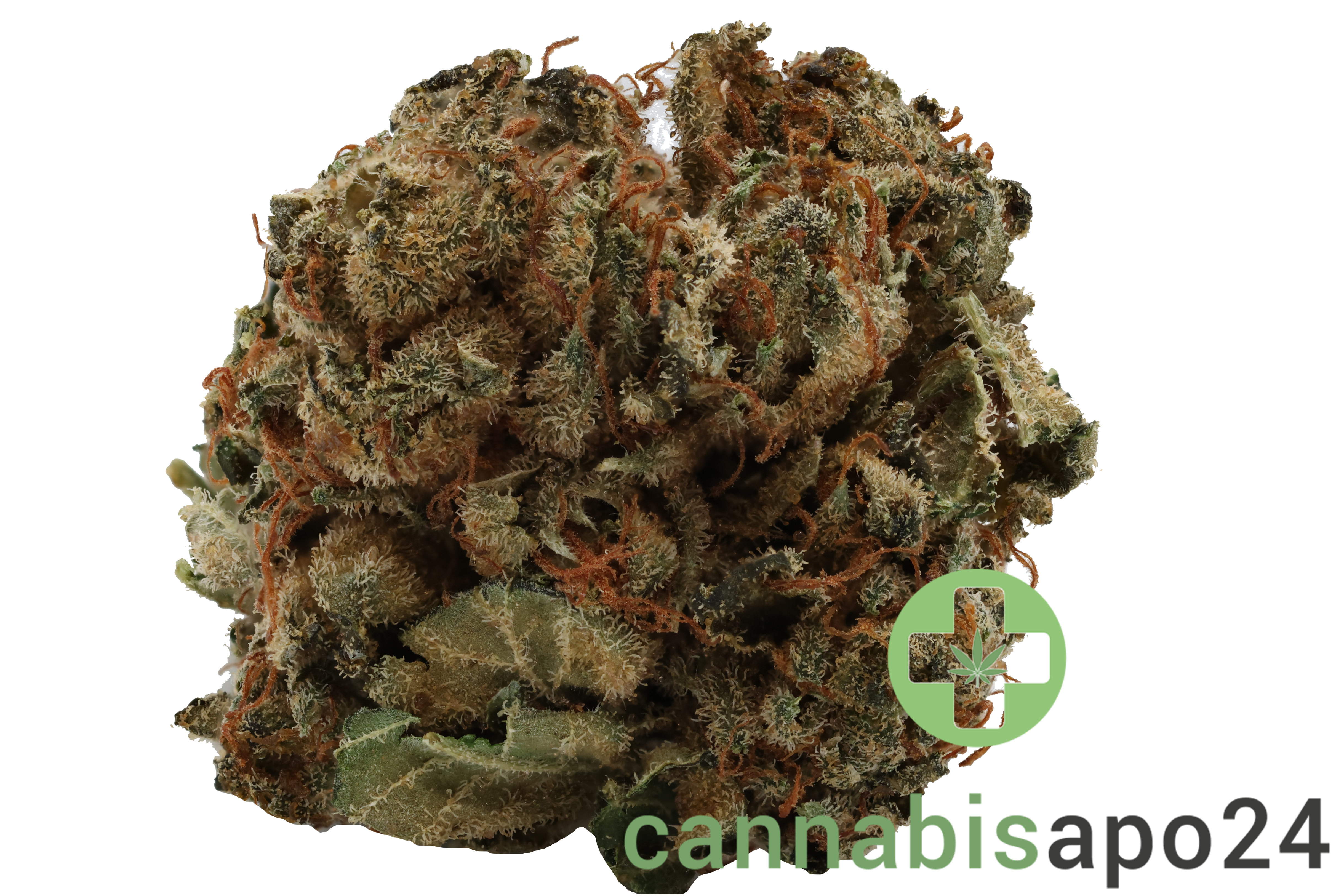 Canify Flos 22/1 PT Pink Kush