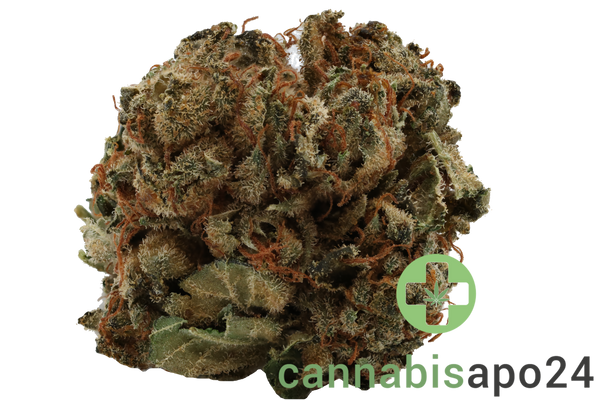 Canify Flos 22/1 PT Pink Kush