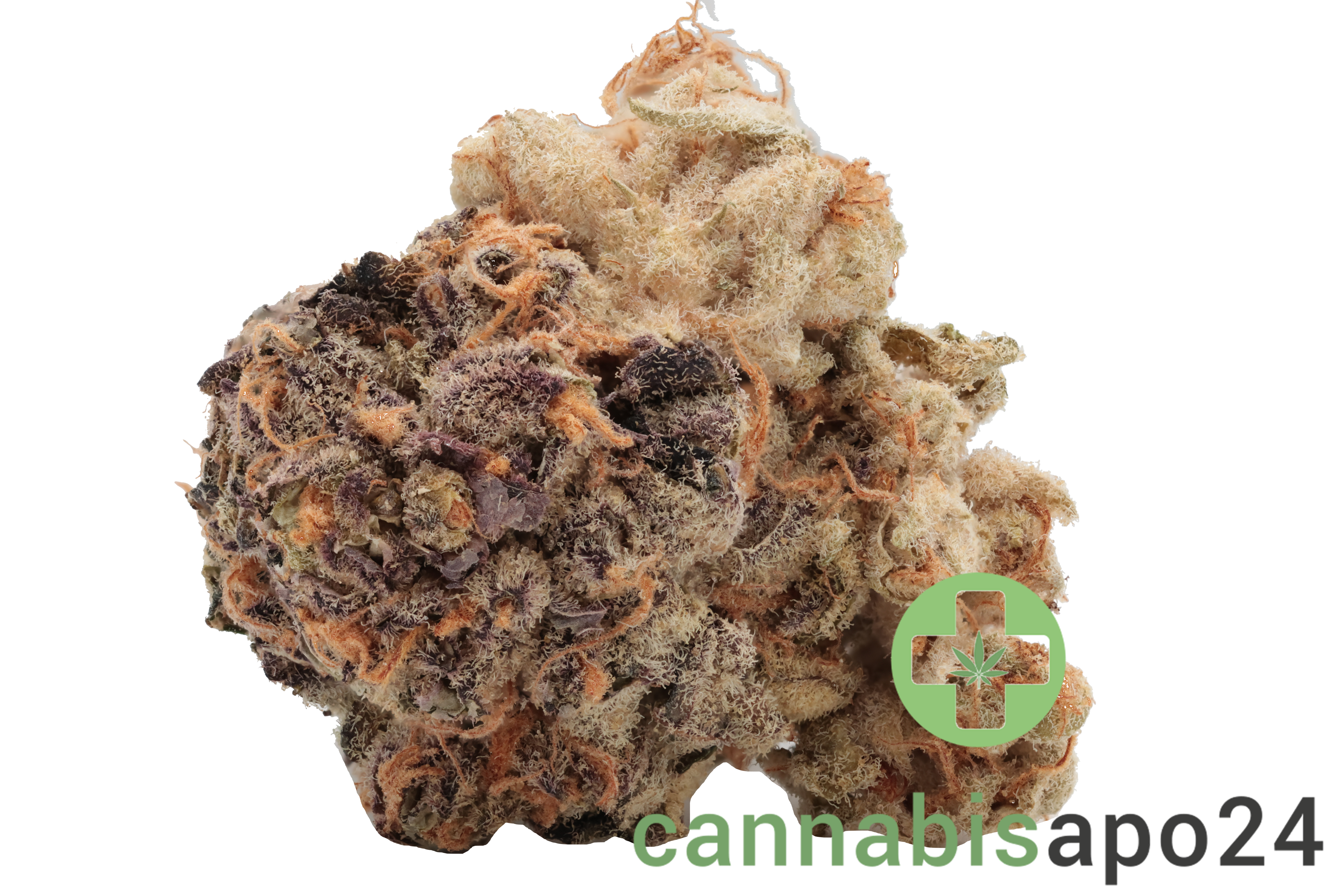 Canify 23/1 PRT Ku. Black Cherry Pie