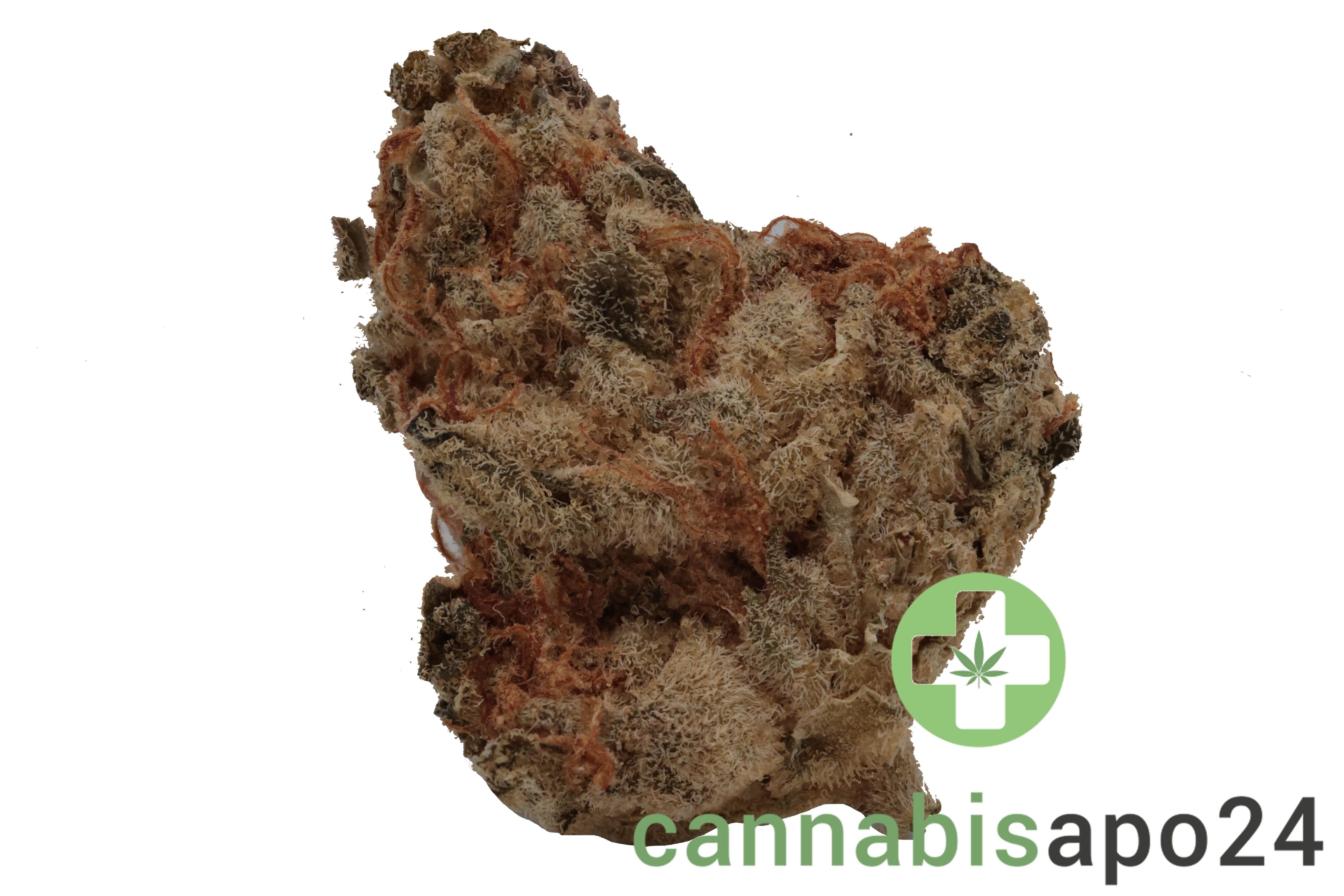 Canify 23/1 PRT Ku. Black Cherry Pie S