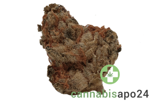 Canify 23/1 PRT Ku. Black Cherry Pie S