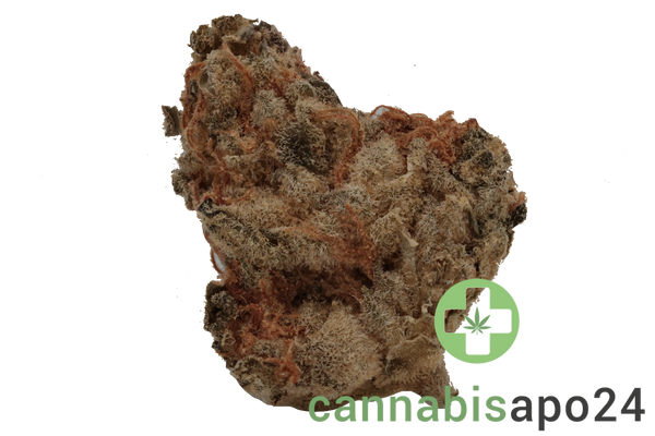 Canify 23/1 PRT Ku. Black Cherry Pie S