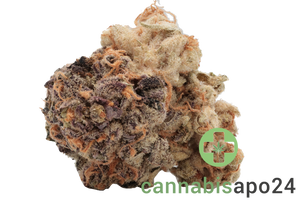 Canify 23/1 PRT Ku. Black Cherry Pie