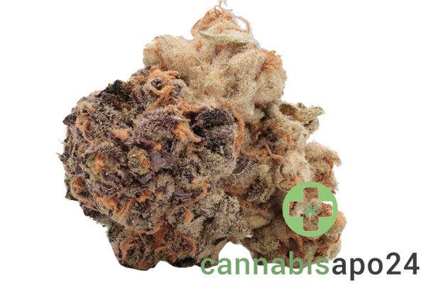 Canify 23/1 PRT Ku. Black Cherry Pie
