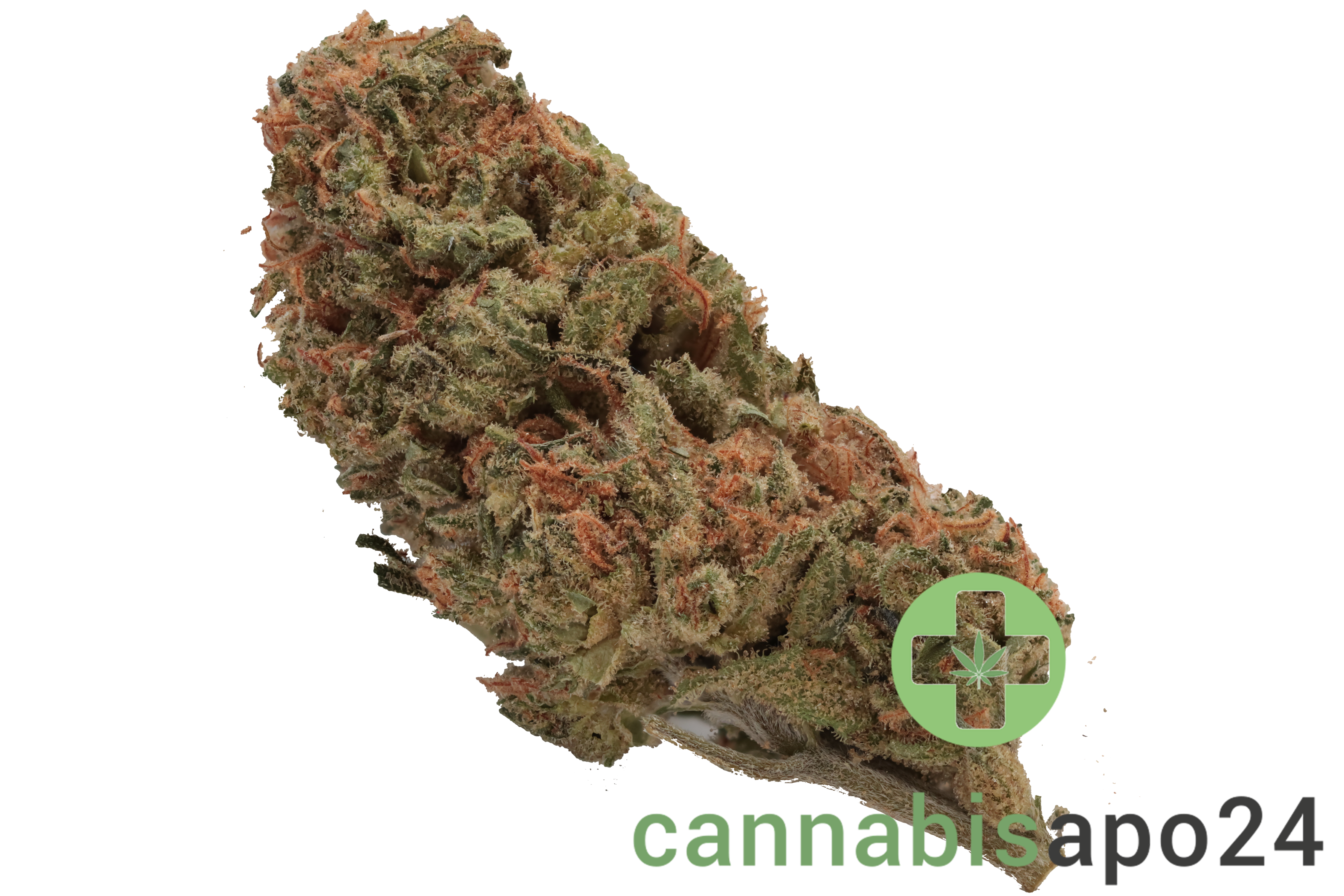 Canify 25/1 CO Ku. Kush Mints