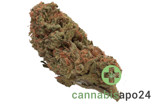 Canify 25/1 CO Ku. Kush Mints