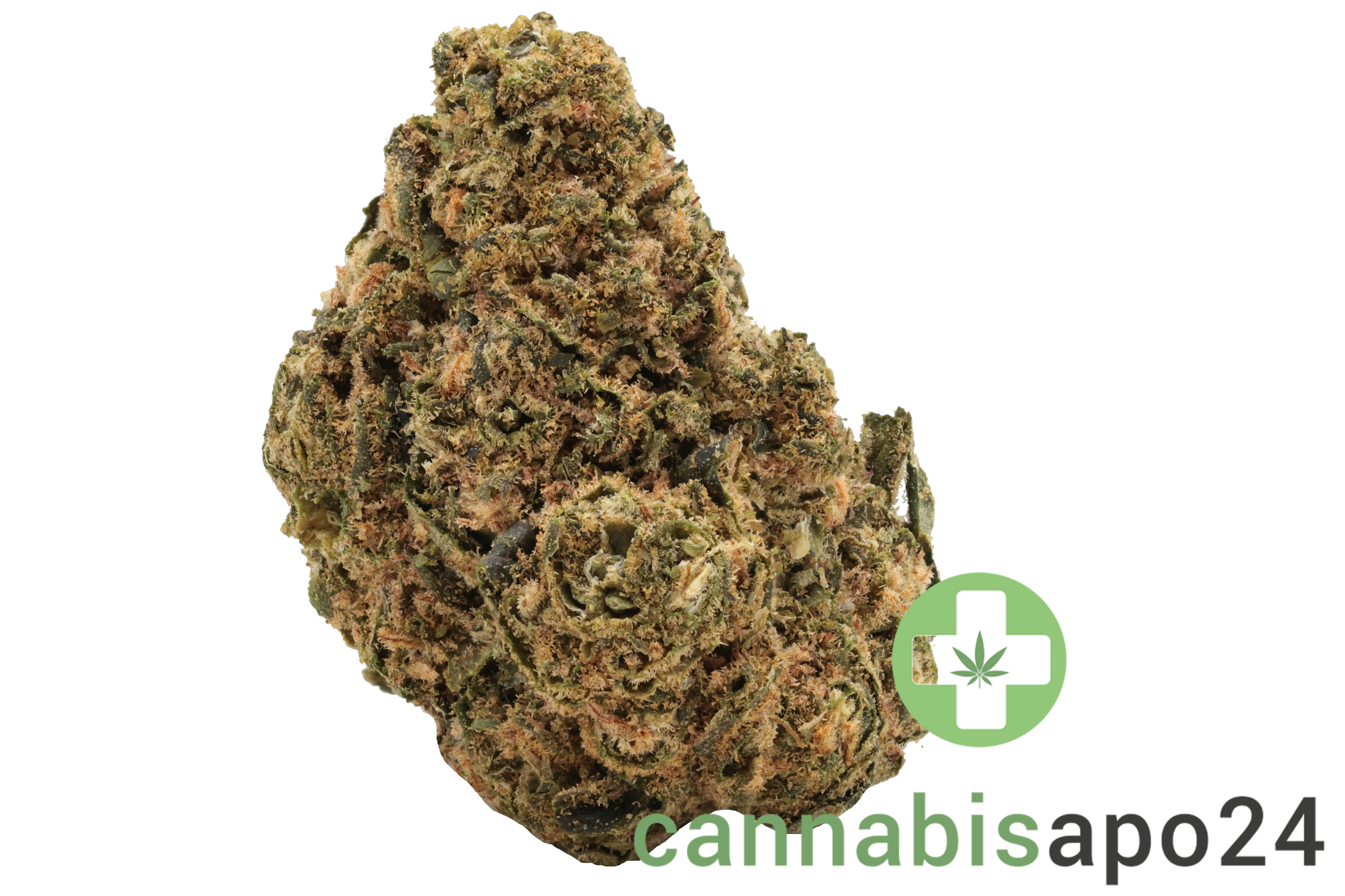Canify Flos 20/1 UY - Big Buddah
