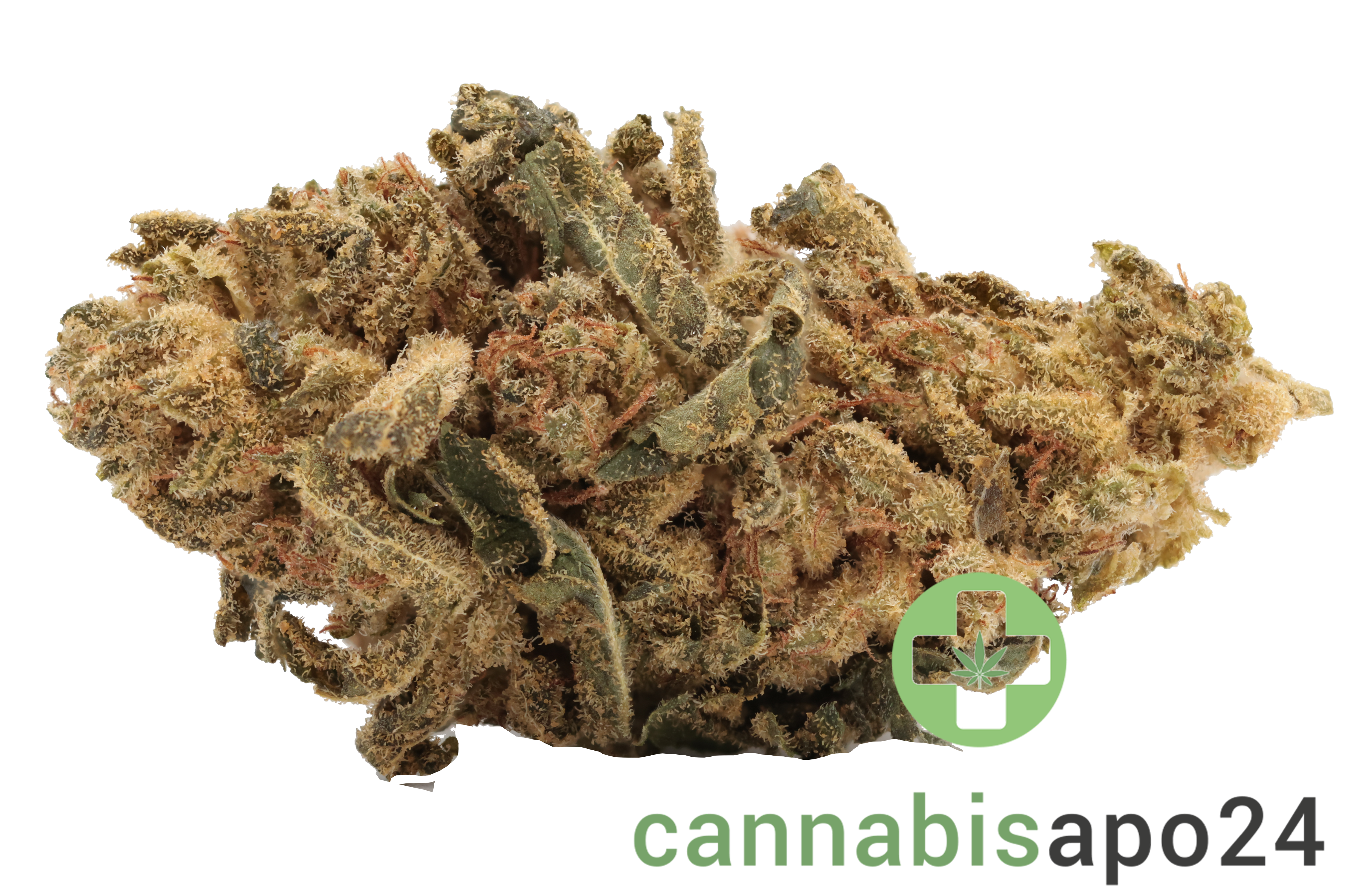 Canify Flos 20/1 UY GG - Gorilla Glue