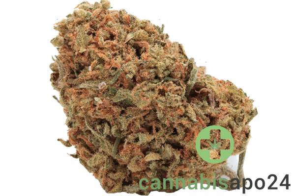 Canify Flos 23/1 CO Kush Mints