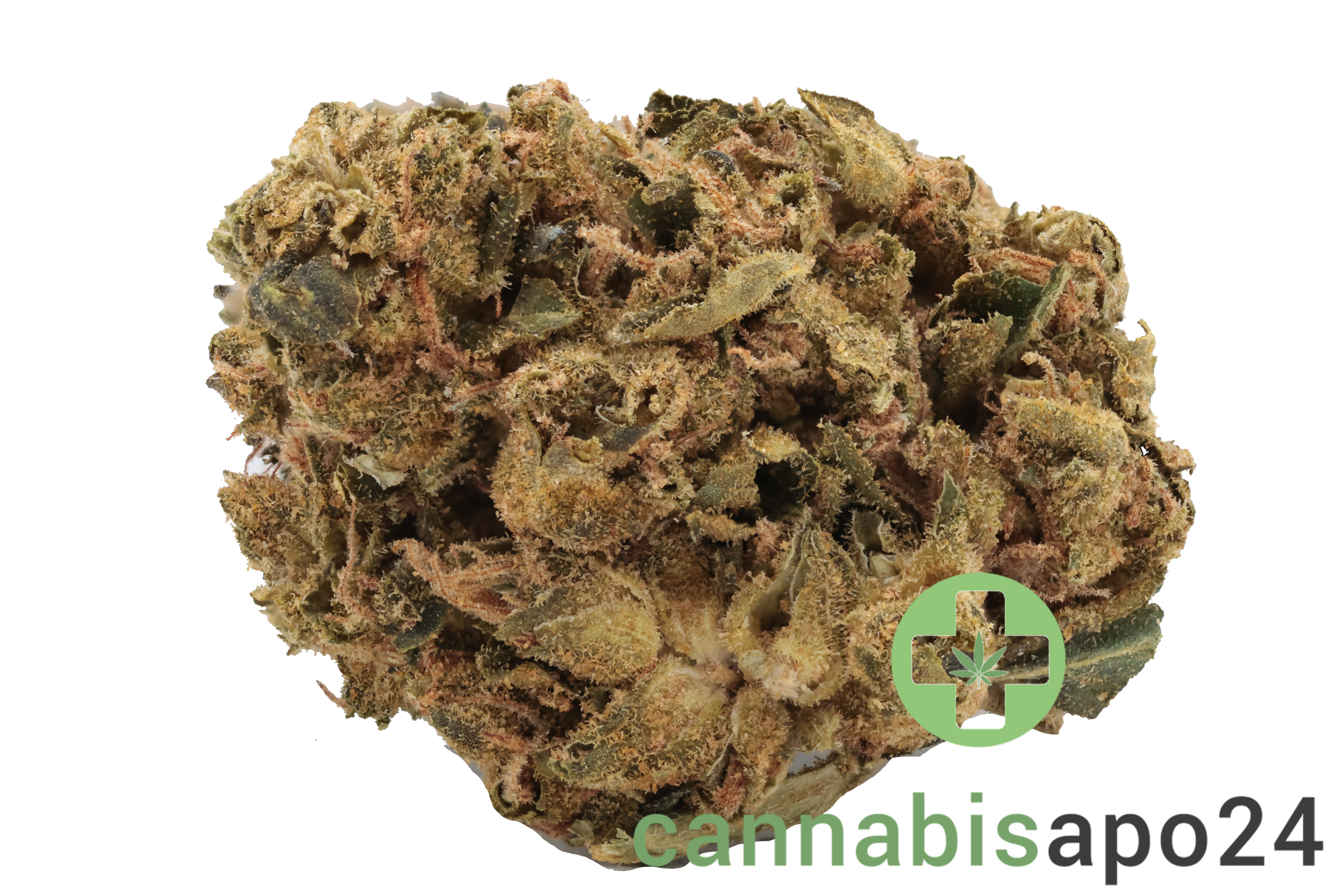 Canify Flos 20/1 UY PDB - Purple Dog Bud