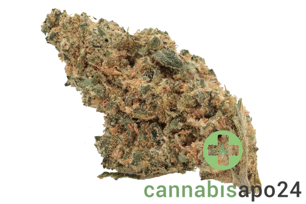 CannabiStada GAB 25