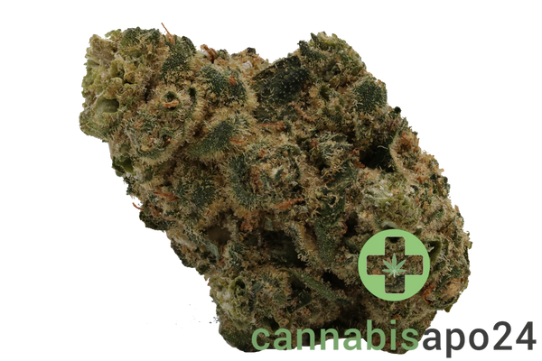 CannabiStada GAB 30