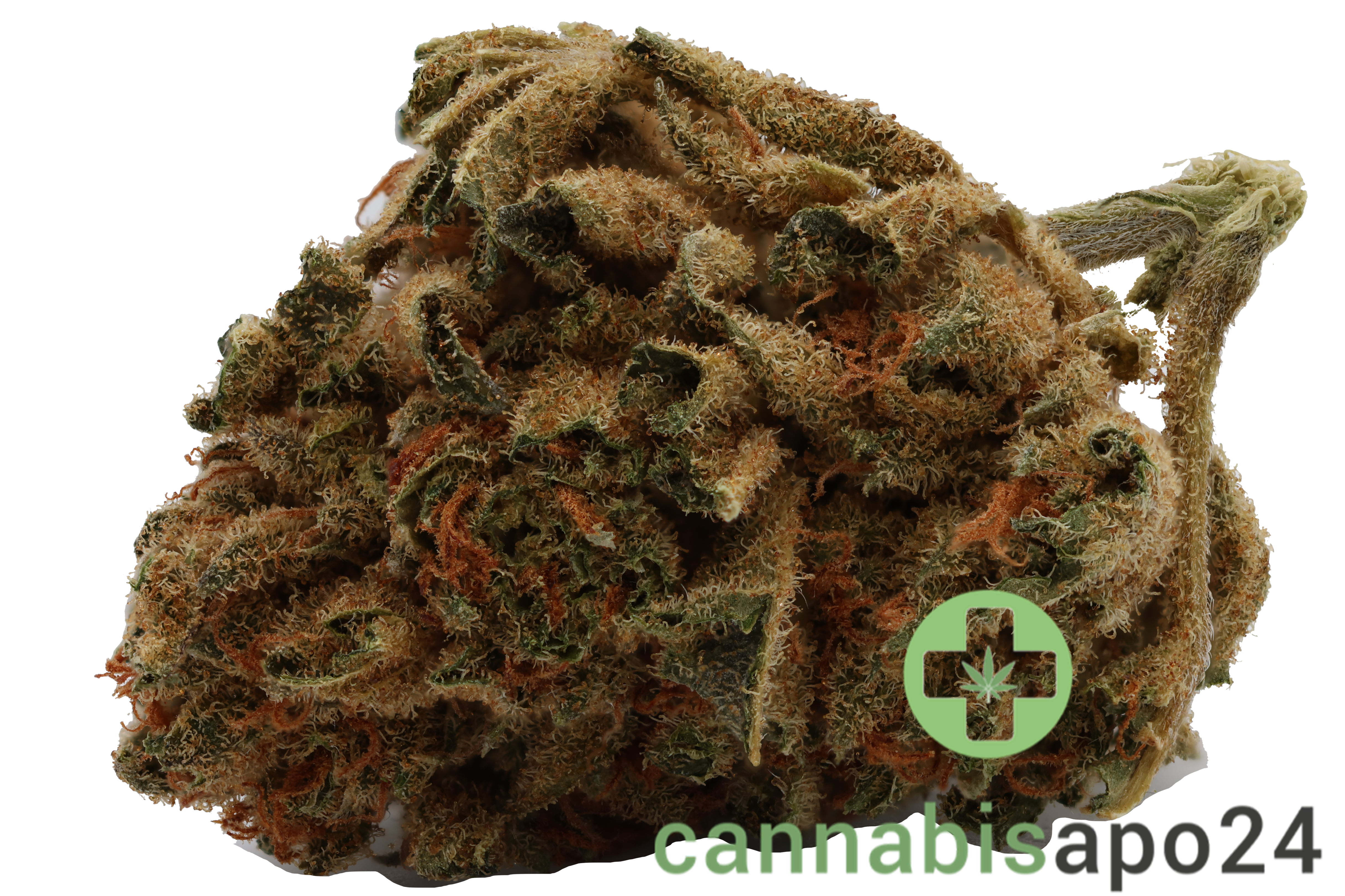 Cannamedical Balanced classic 8/8