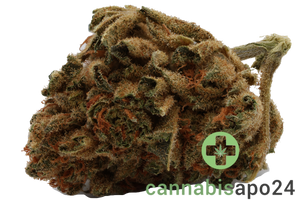Cannamedical Balanced classic 8/8