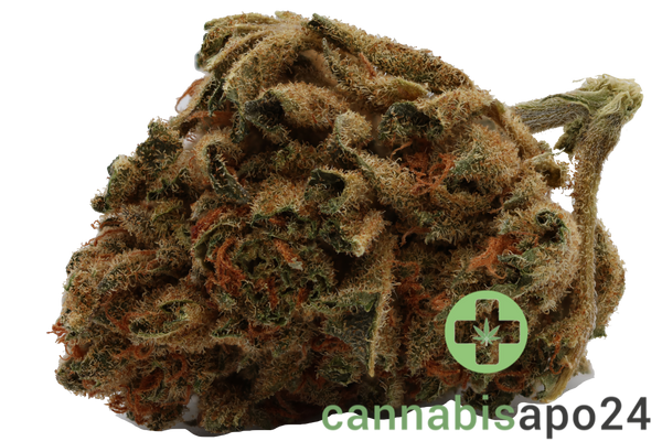 Cannamedical Balanced classic 8/8