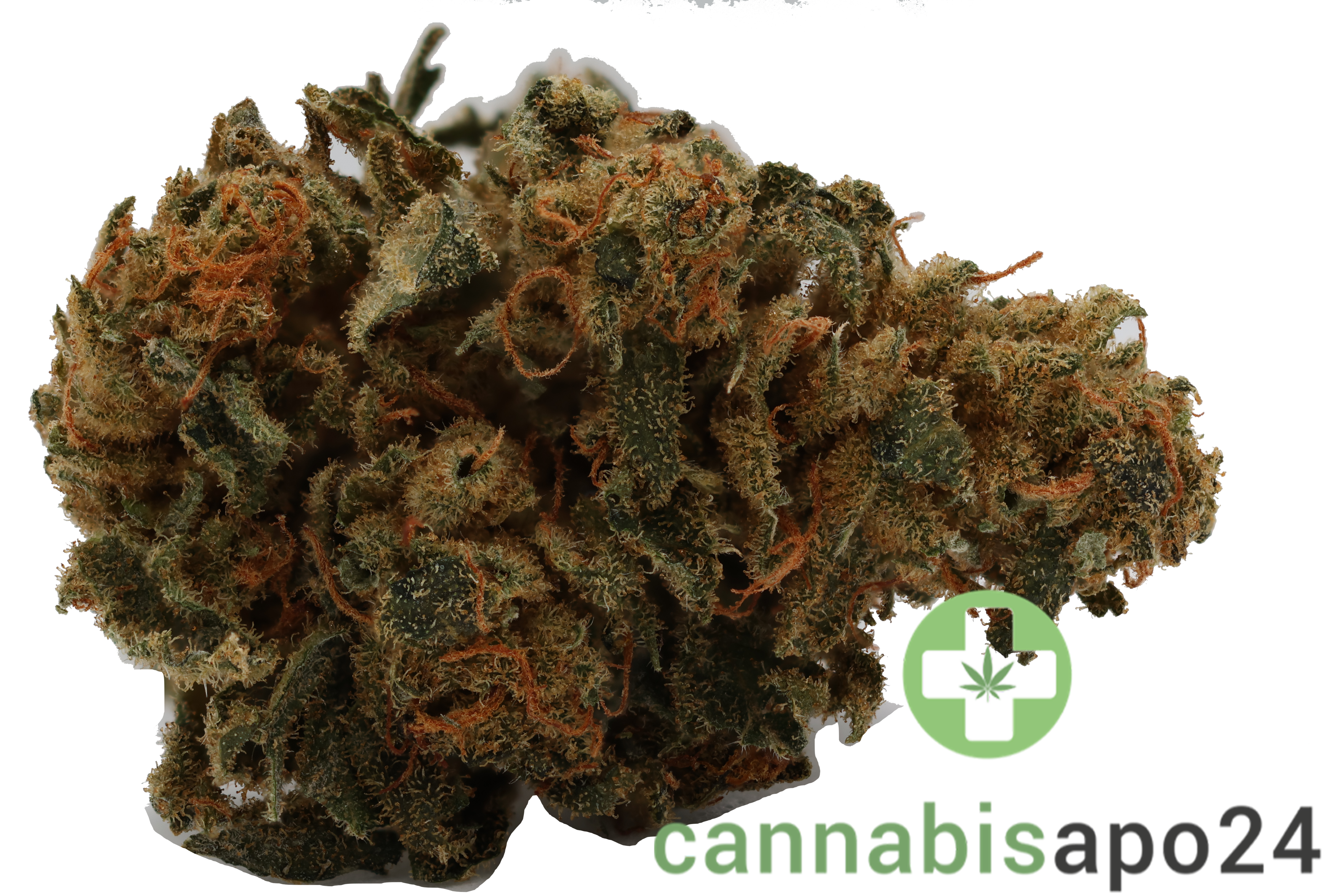 Cannamedical Balanced forte Mango Haze