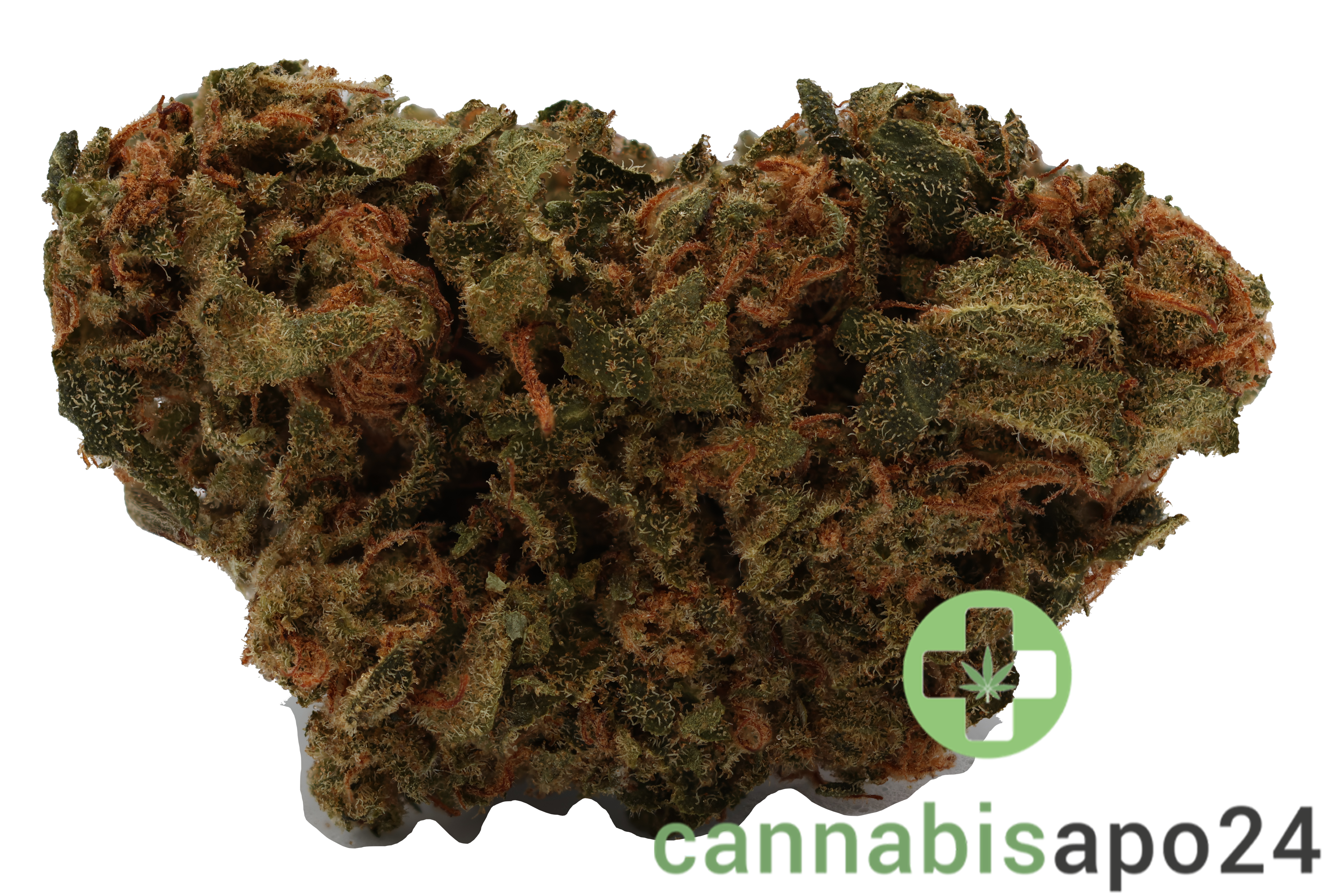 Cannamedical CM 24/1 ICM - Incredible Milk