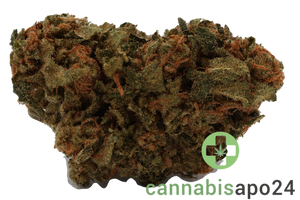 Cannamedical CM 24/1 ICM - Incredible Milk