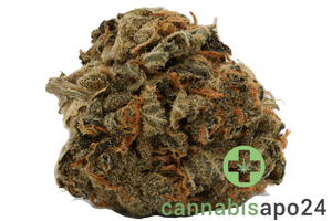 Cannamedical Hybrid Classic NM Gorilla ZKittlez