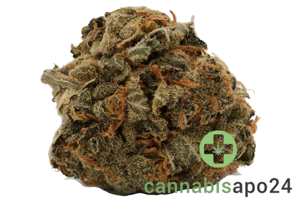 Cannamedical Hybrid Classic NM Gorilla ZKittlez