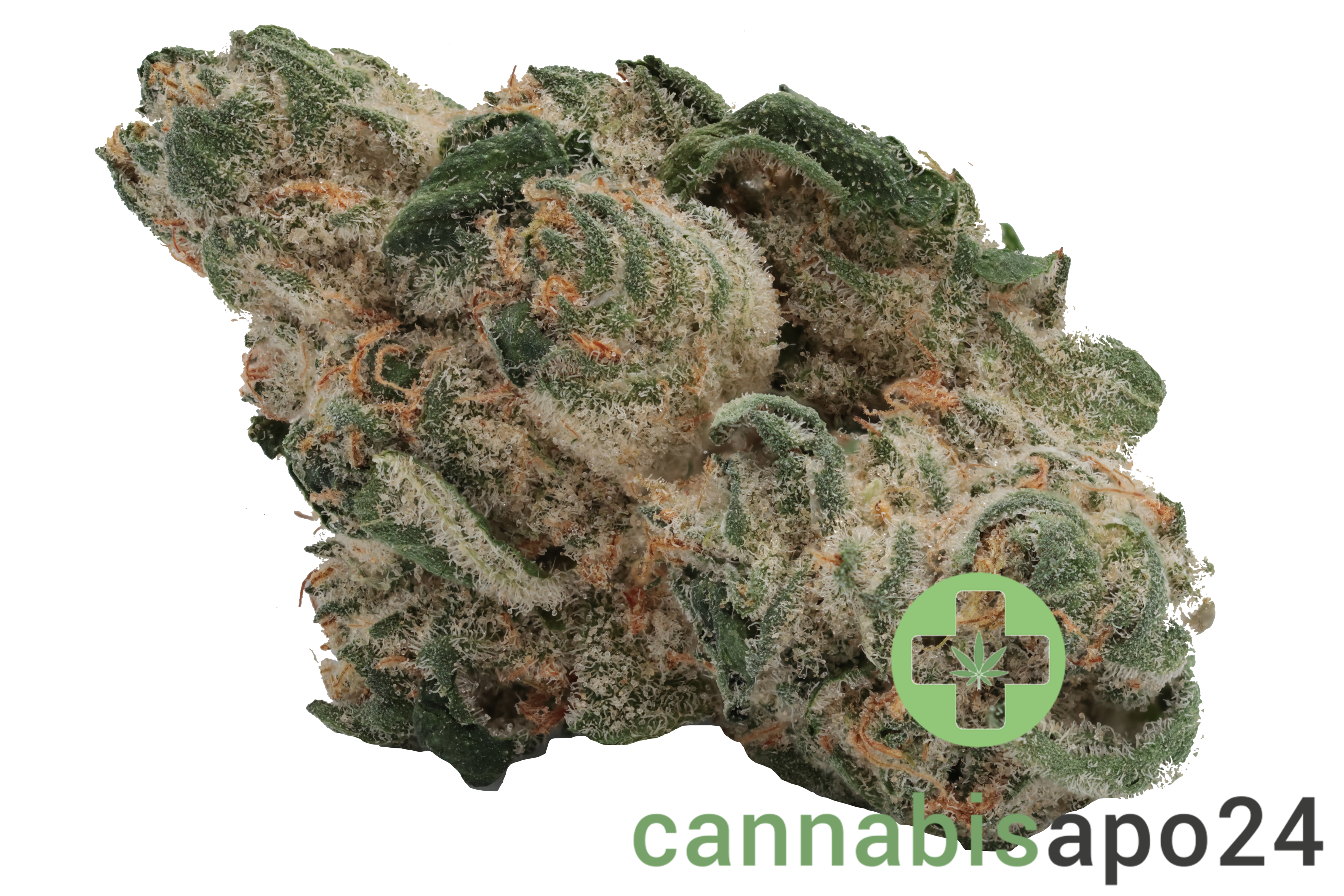 Cannamedical Hybrid forte NG - Jealousy