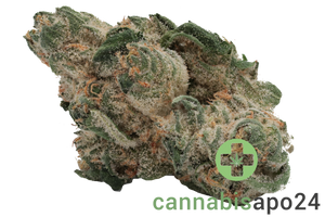 Cannamedical Hybrid forte NG - Jealousy