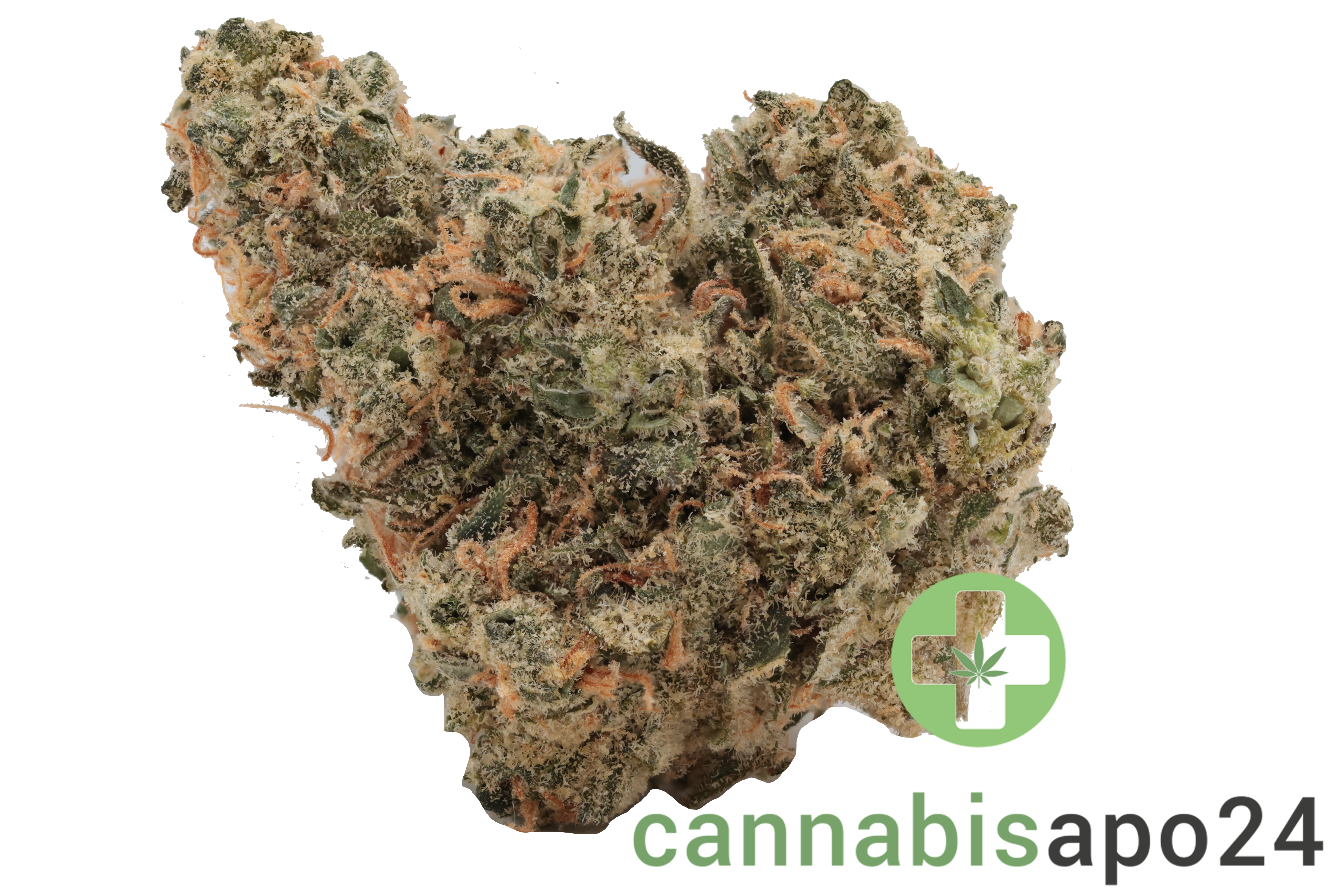 Cannamedical Hybrid forte NM Gorilla ZKittlez