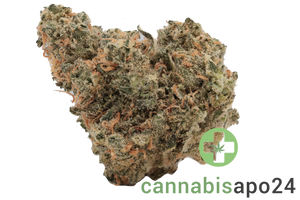 Cannamedical Hybrid forte NM Gorilla ZKittlez