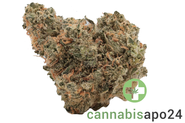Cannamedical Hybrid forte NM Gorilla ZKittlez