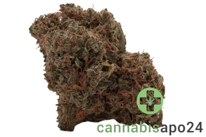 Cannamedical Indica Forte DK - Cookies Kerosene Punch