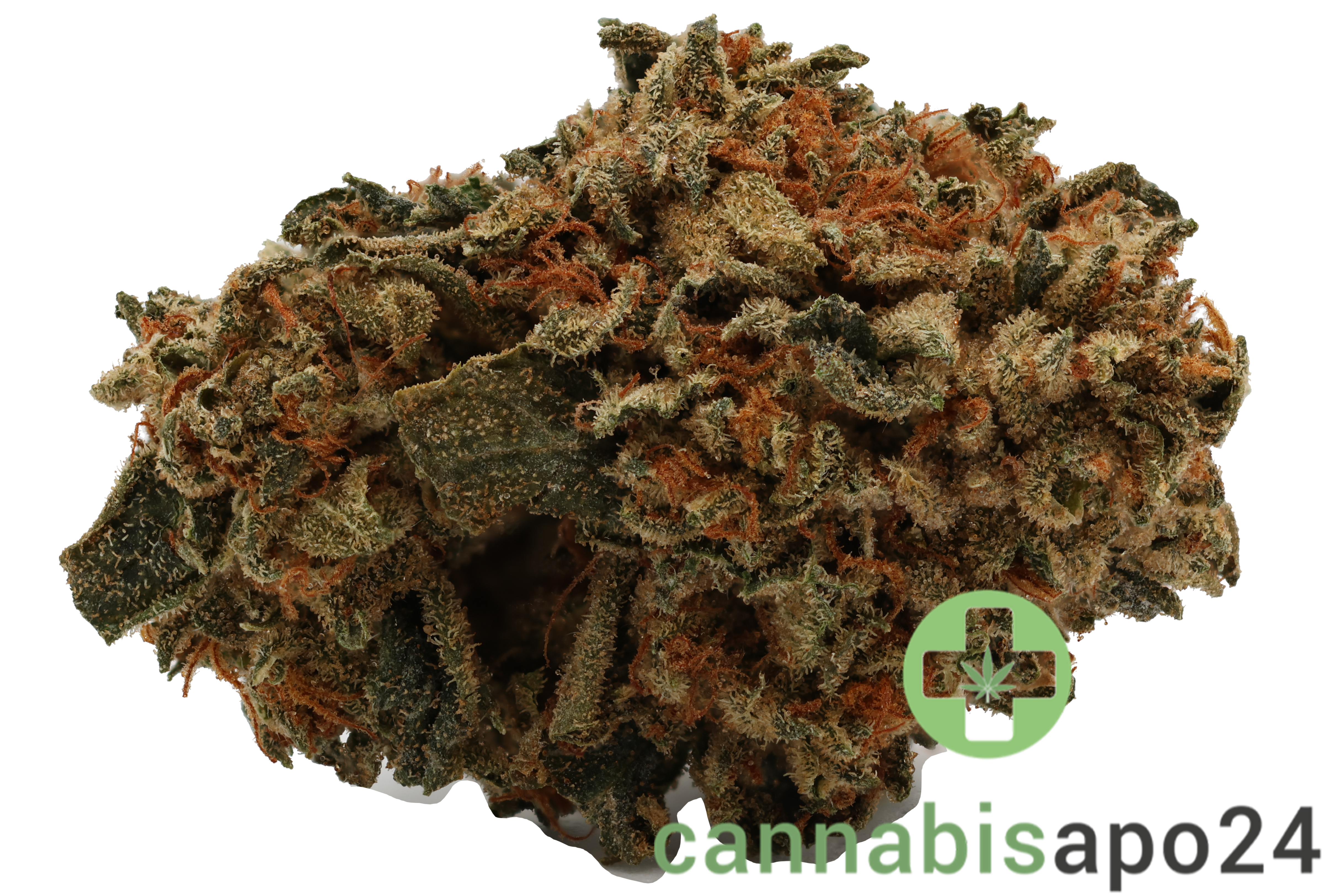 Cannamedical Indica Forte MA - Tire Fire