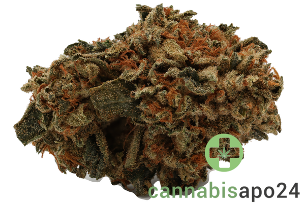 Cannamedical Indica Forte MA - Tire Fire