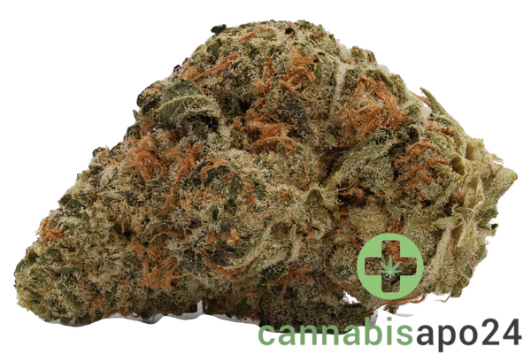 Cannamedical Indica forte El Jefe