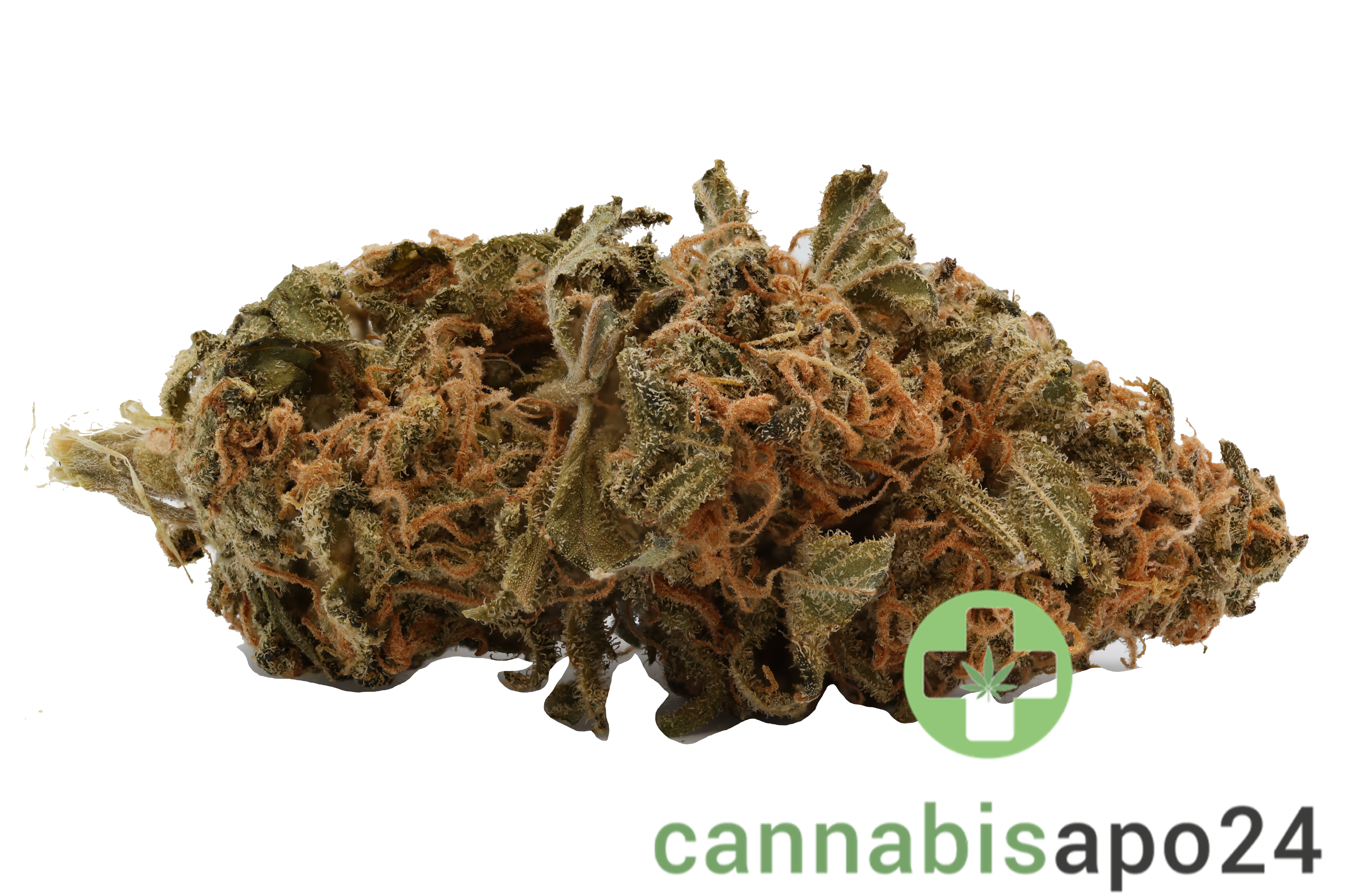 Cannamedical Sativa Forte NM - Gelato Dream