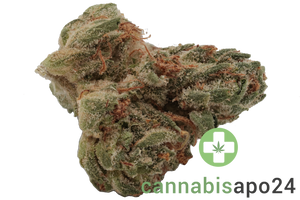 Cannamedical Sativa forte Tangie Chem