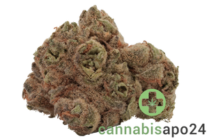 Cannamedical Indica forte ZAF