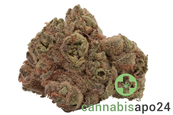 Cannamedical Indica forte ZAF