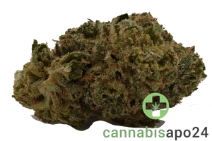 Canopy Bakerstreet 20