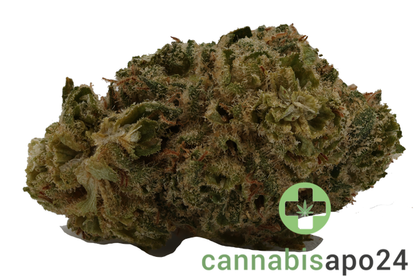 Canopy Bakerstreet 20