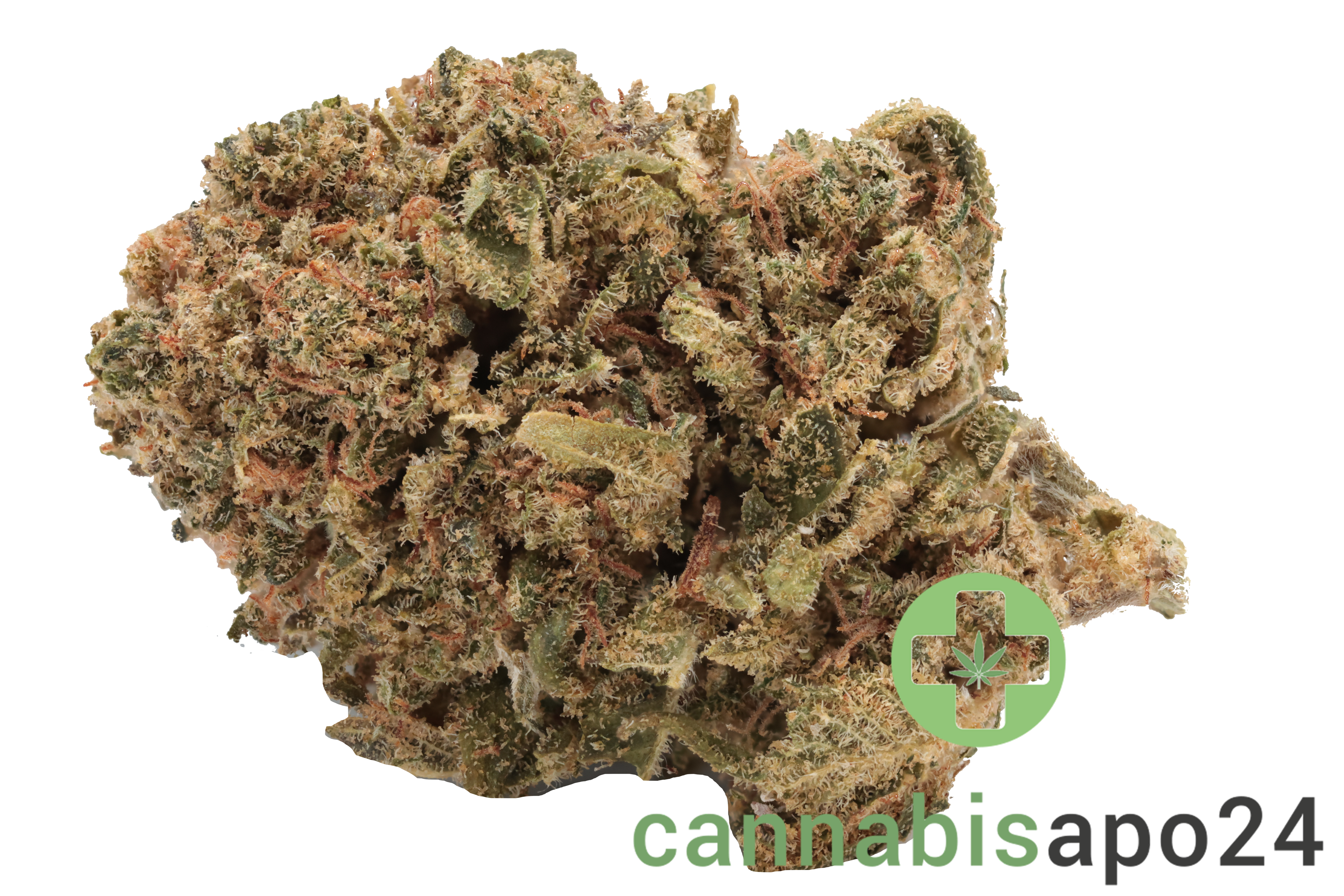Canopy GDB 12
