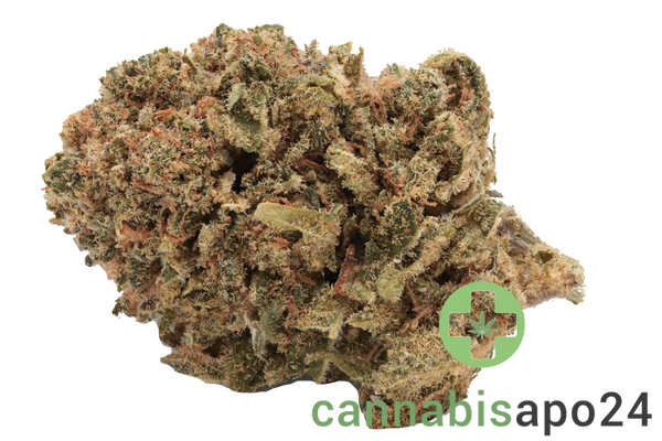 Canopy GDB 12