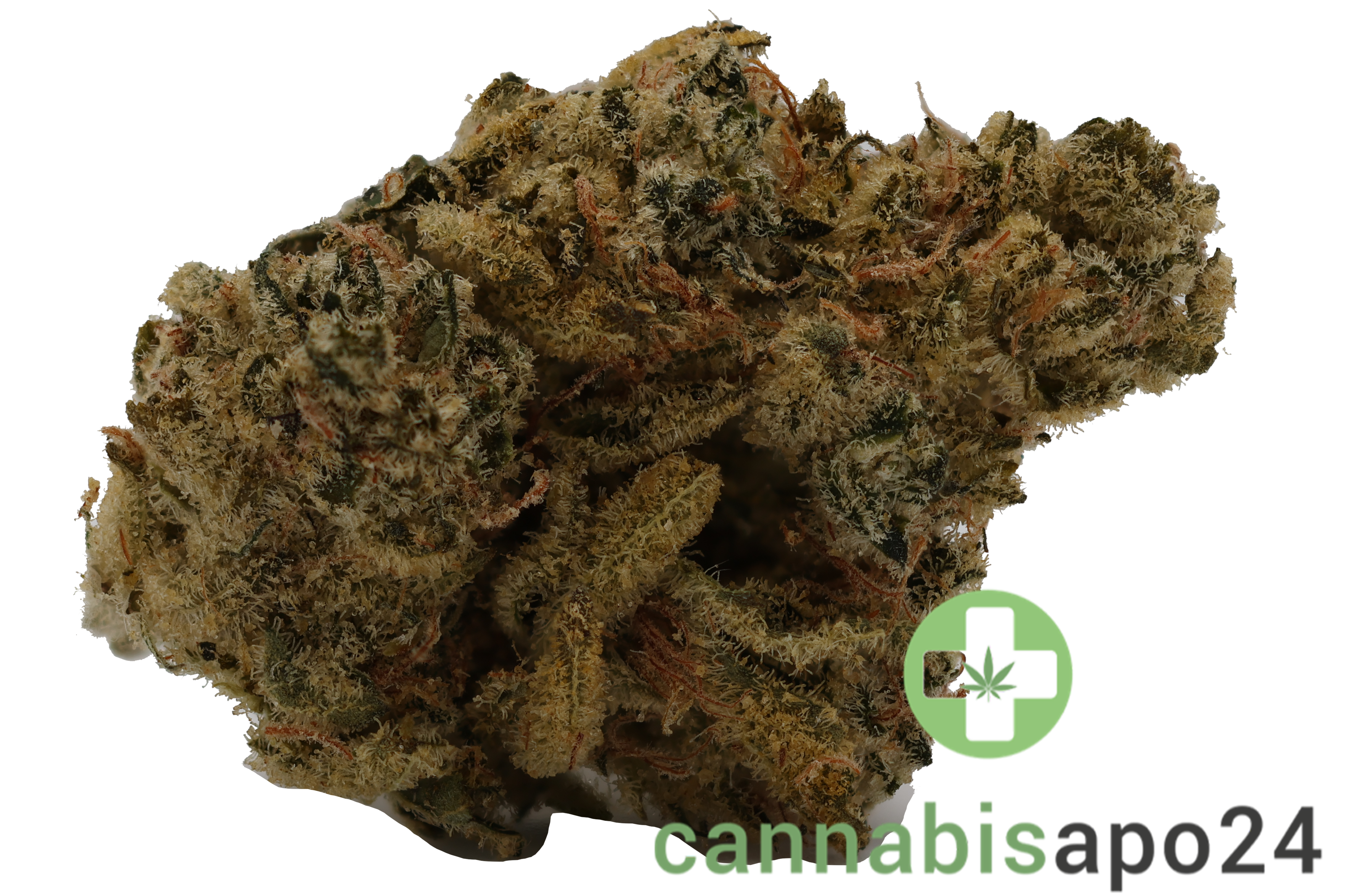 Canopy Krypton 25