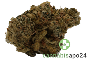 Canopy Krypton 25
