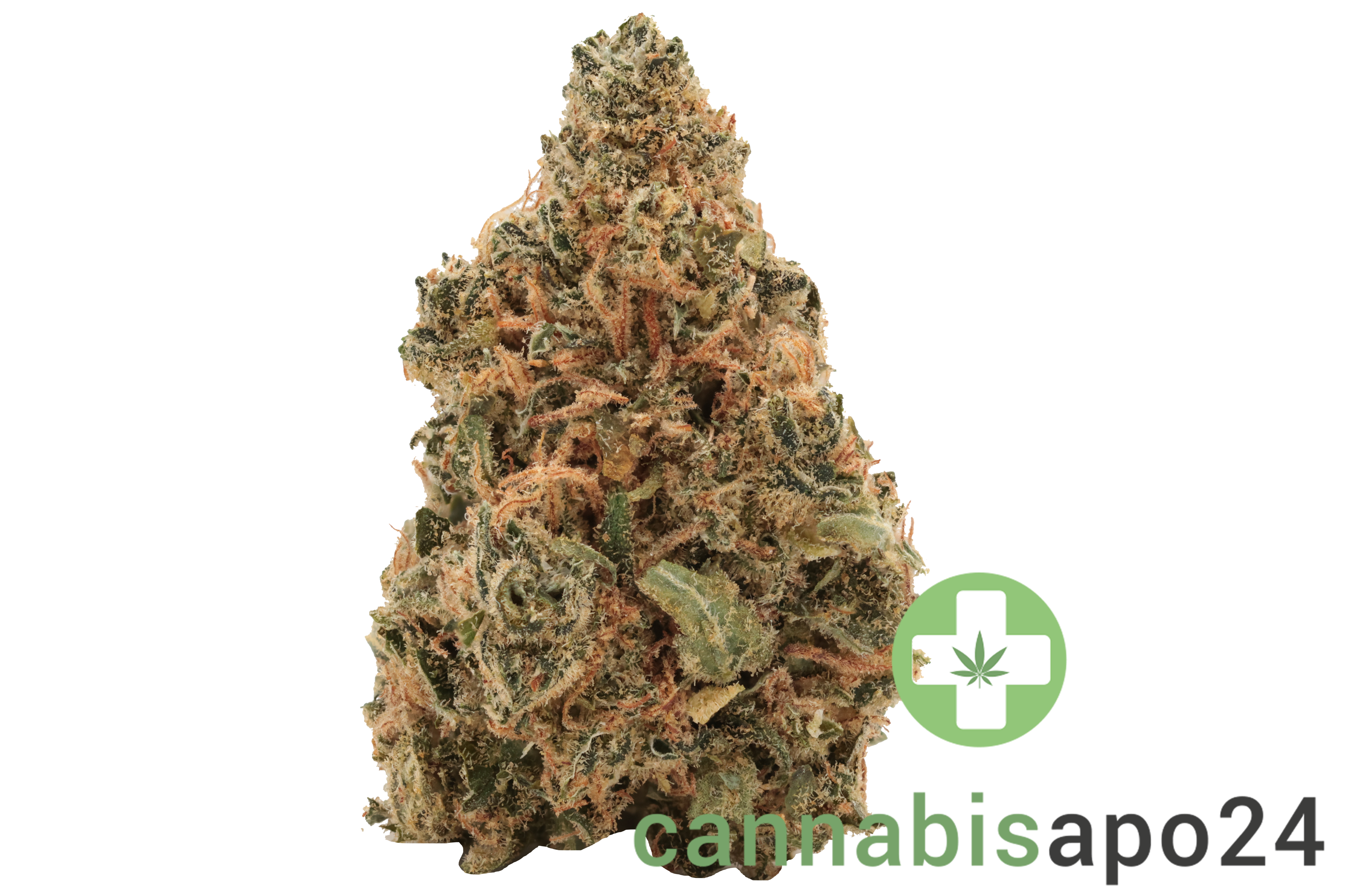 Canopy LSK 18