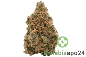 Canopy LSK 18