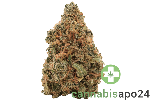 Canopy LSK 18