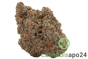 Ceres No. 4
