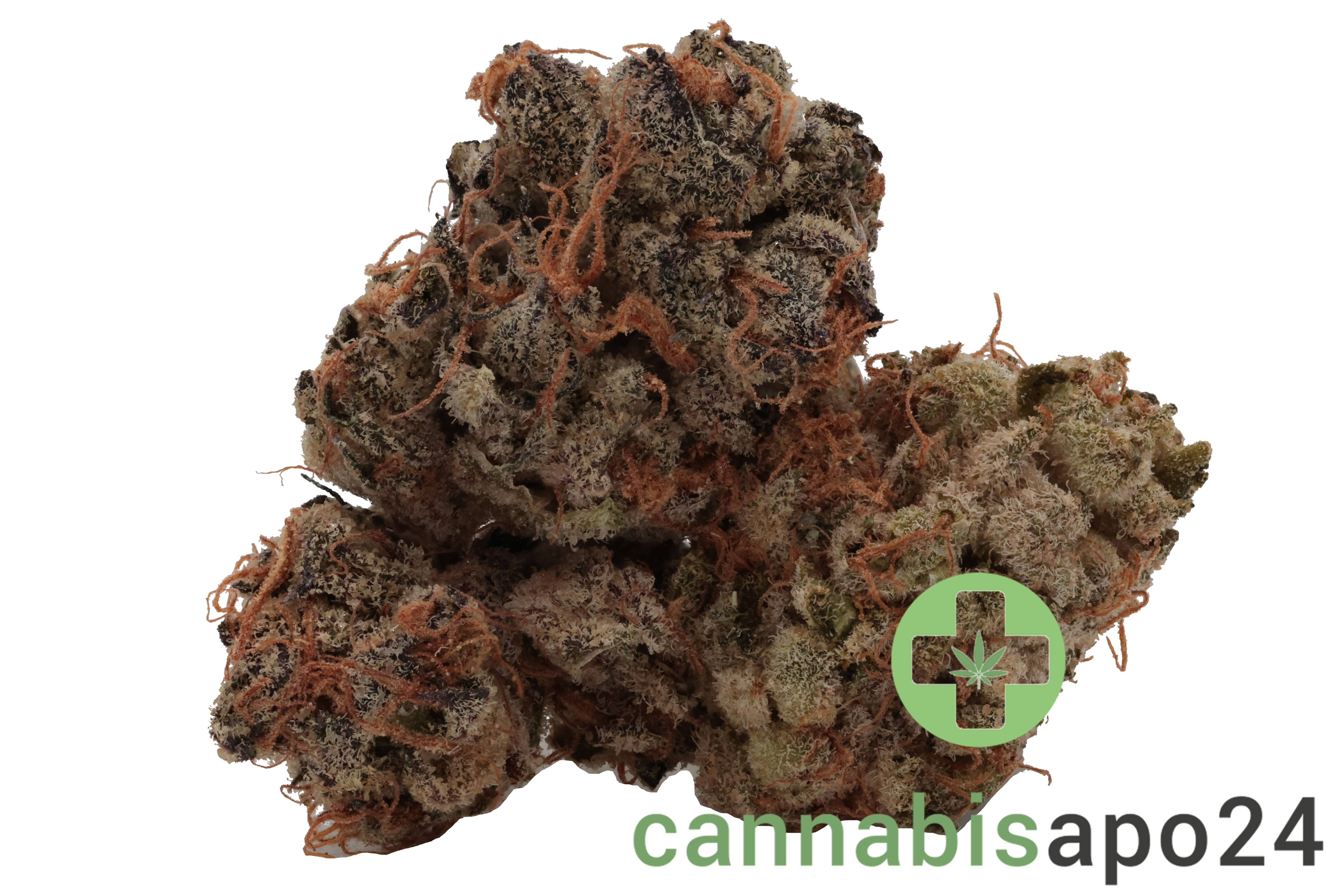 Cookies 22/1 HR Hawaiian Rain