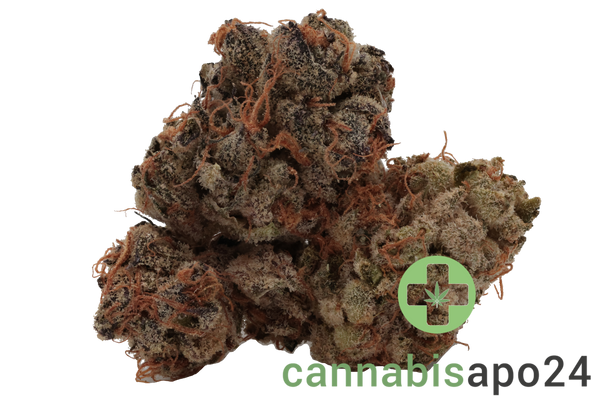 Cookies 22/1 HR Hawaiian Rain