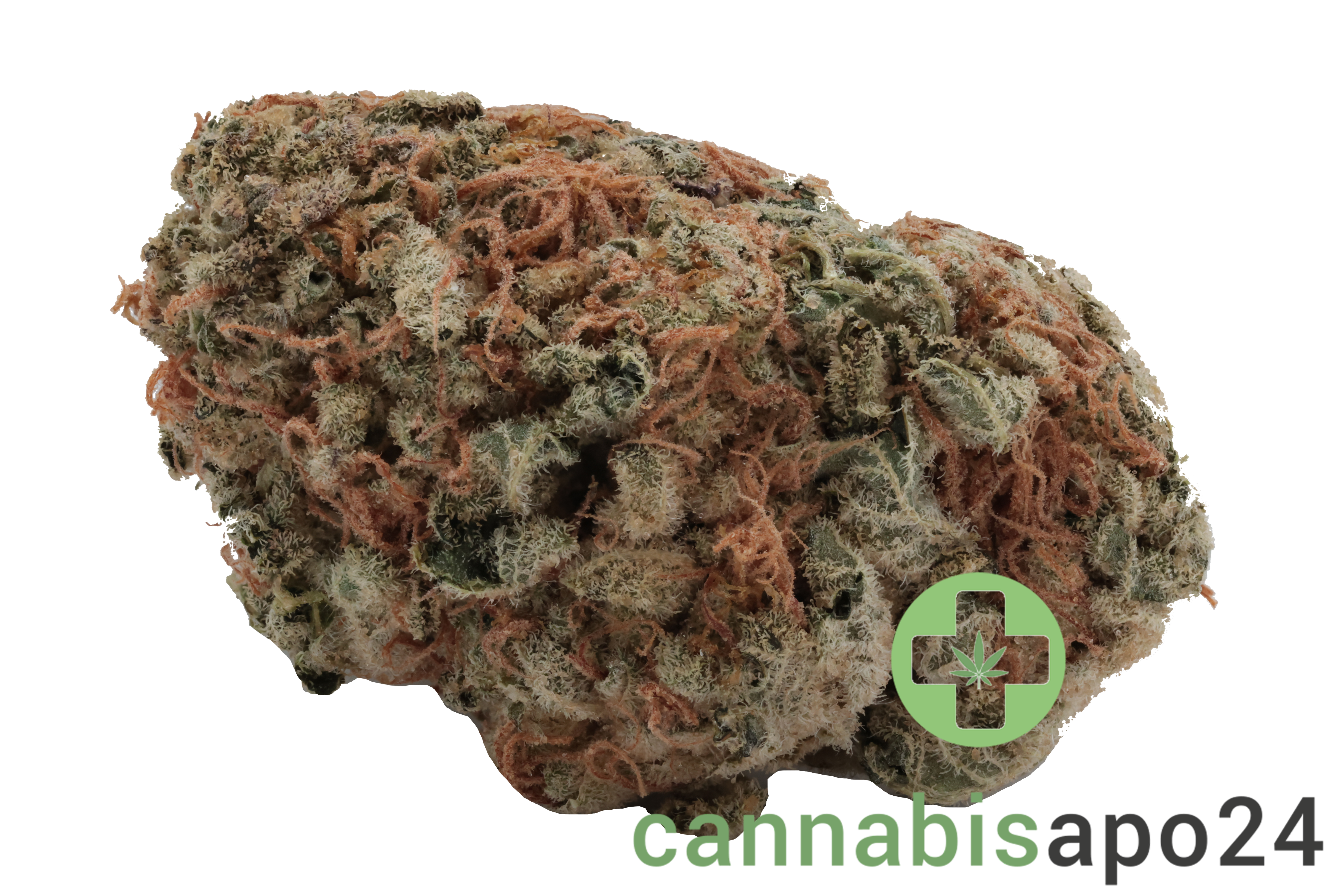 Cookies 22/1 MD Medellin